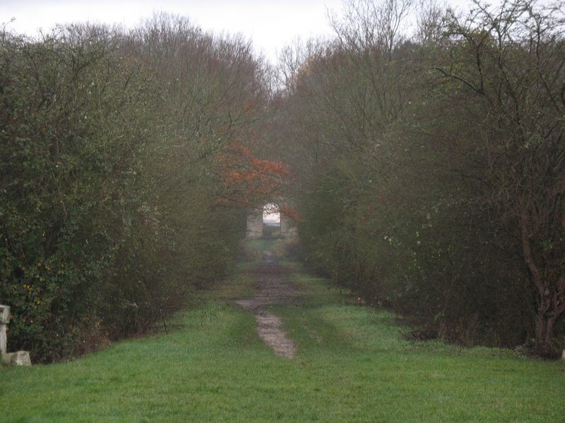 2006 12 Ornitho St Hubert 08